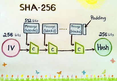 What is SHA? Definition & Meaning | Crypto Wiki