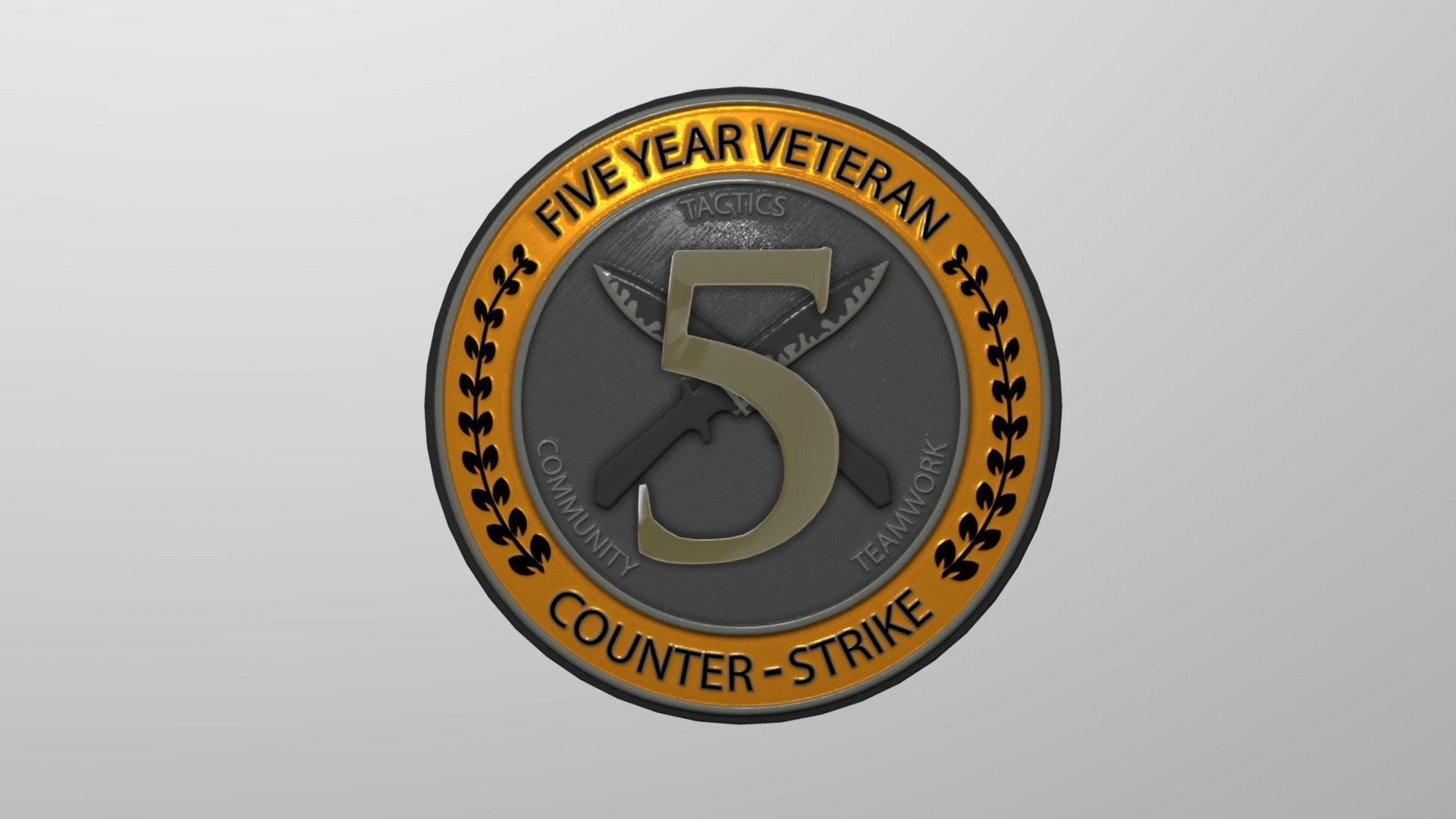 Five Year Veteran Coin – AlphaSetupsStore