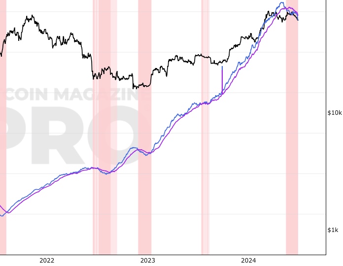 Live Bitcoin Price: BTC USD Chart - CryptoPurview