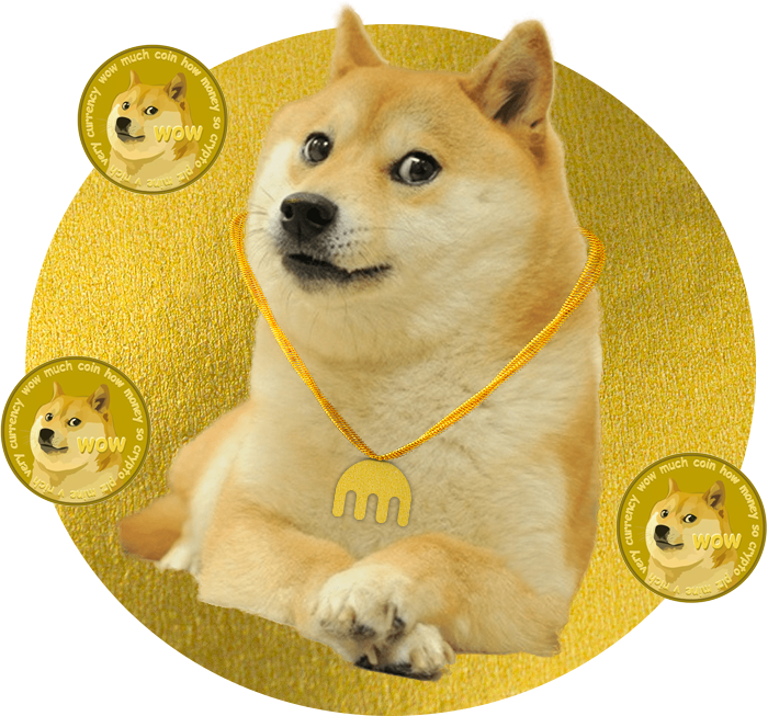 How To Buy Dogecoin (DOGE)