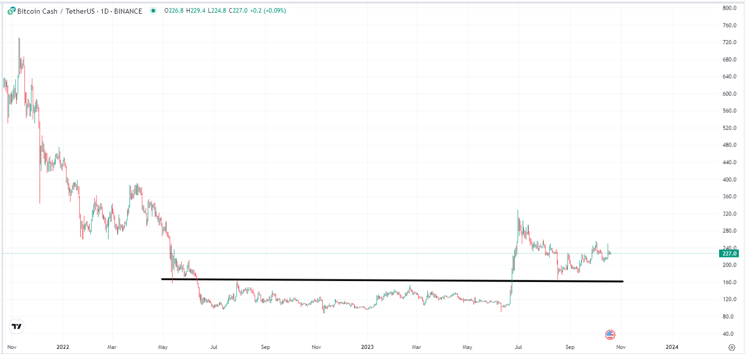 Bitcoin Cash Halving (bch) | Dates, Details, Countdown | helpbitcoin.fun