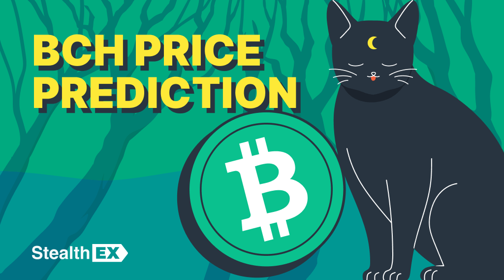 Bitcoin Cash Price Prediction & Forecast for , , | helpbitcoin.fun