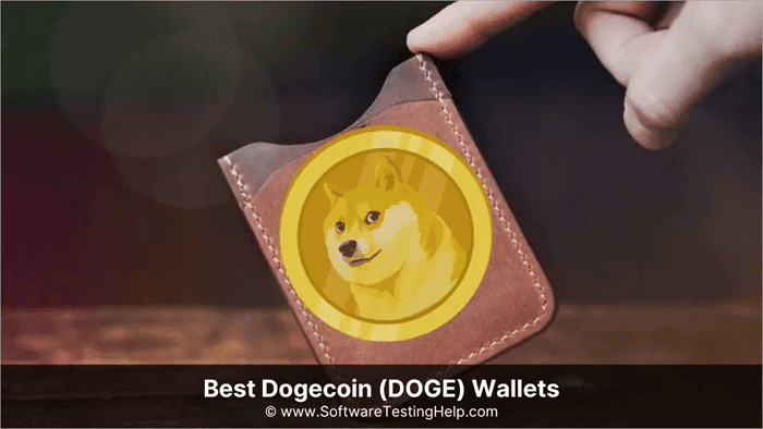 Best Dogecoin Wallets Of - Top 6 Safest Places to Store DOGE