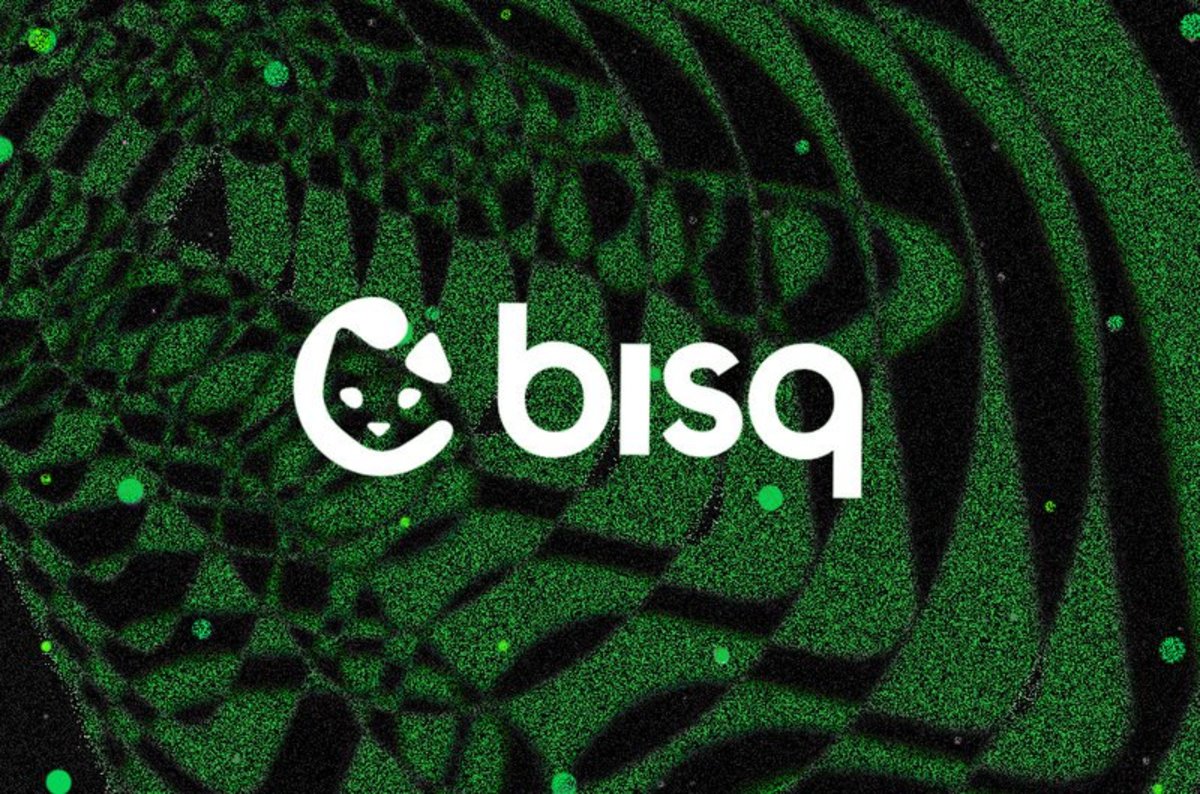 BISQ TOKEN Price Today - BISQ to US dollar Live - Crypto | Coinranking