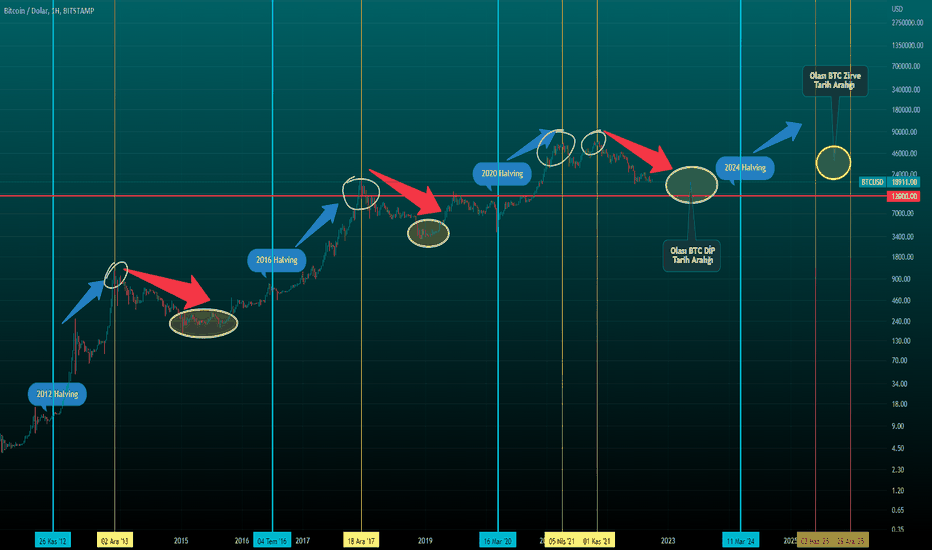 Bitcoin Halving Date & Price History