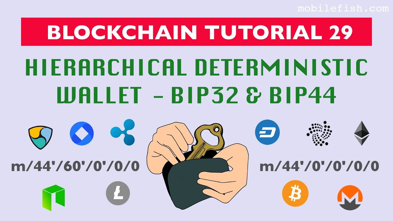 HD Protocol, HD Wallet, BIP32 - Bitcoin Glossary