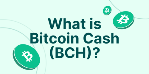 Convert 1 BCH to USD ‒ Real-Time Bitcoin Cash Conversion | helpbitcoin.fun