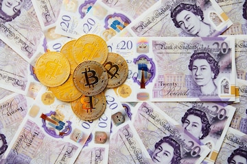 Britische Pfund to Bitcoin Cash Conversion | GBP to BCH Exchange Rate Calculator | Markets Insider