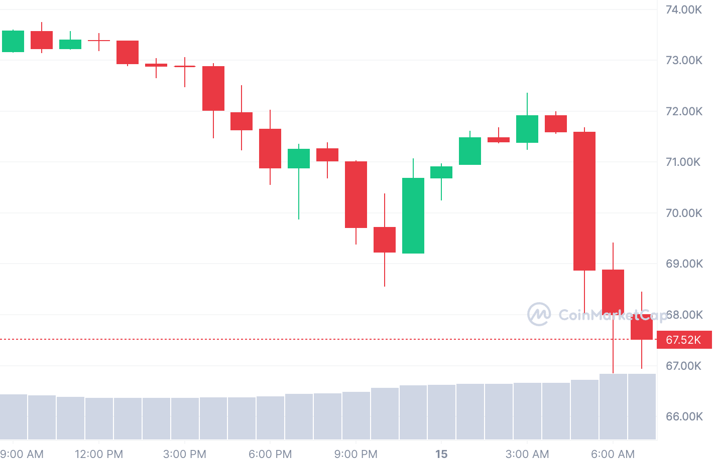 Why Did Bitcoin's (BTC) Price Crash? It Probably Wasn't Due to Elon Musk