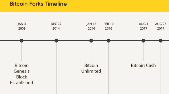 Authentic Digital Art - Bitcoin Hard Fork of Birth of Bitcoin Cash | SuperRare