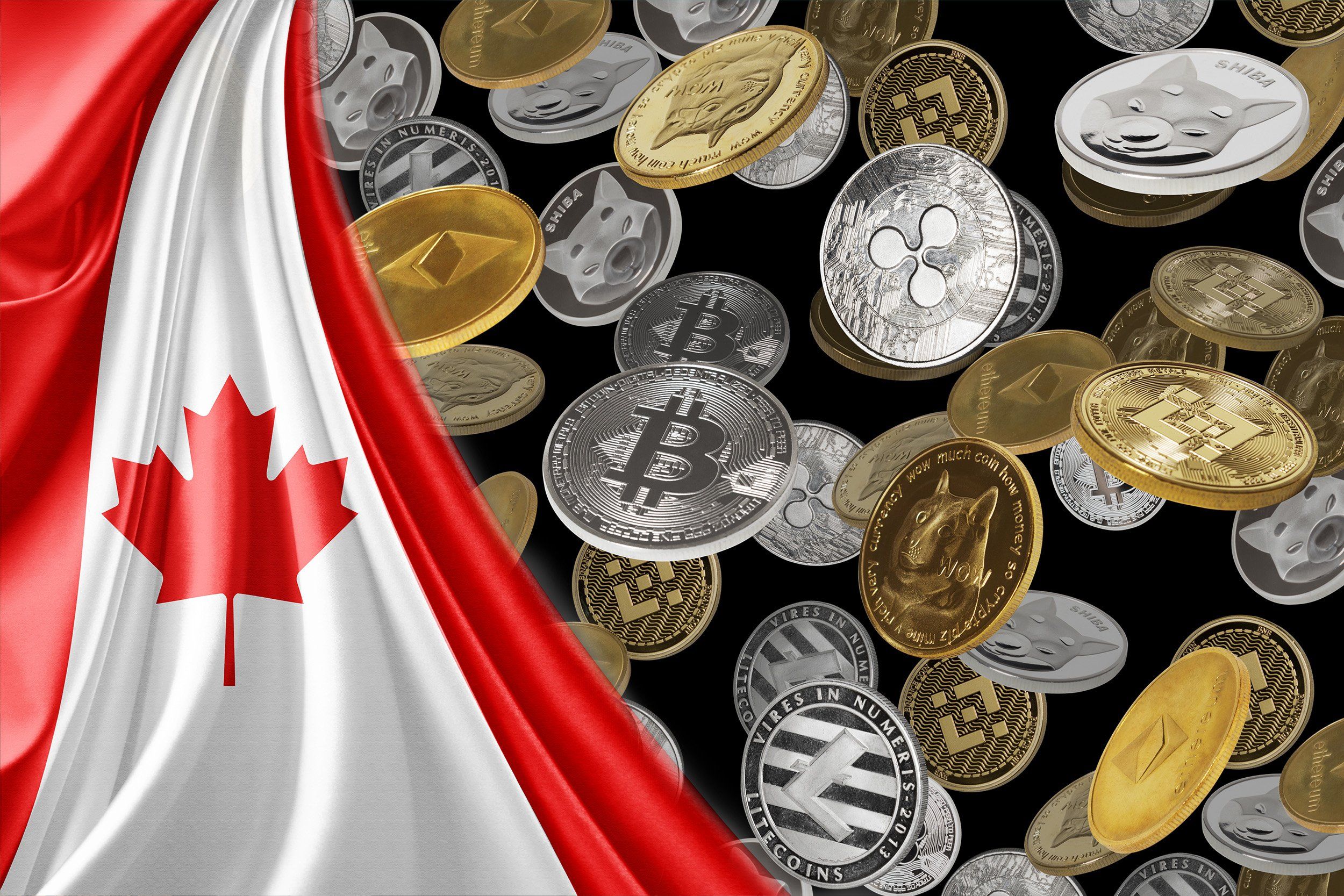 Canadian regulator clears launch of world's first bitcoin ETF - investment manager | Reuters