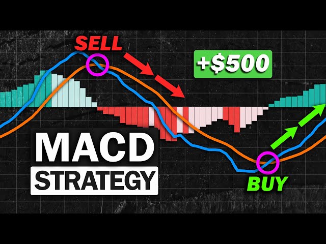 How To Use MACD Indicator In Crypto Trading (7 Simple Steps)