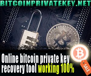 Bitcoin private key recovery tool