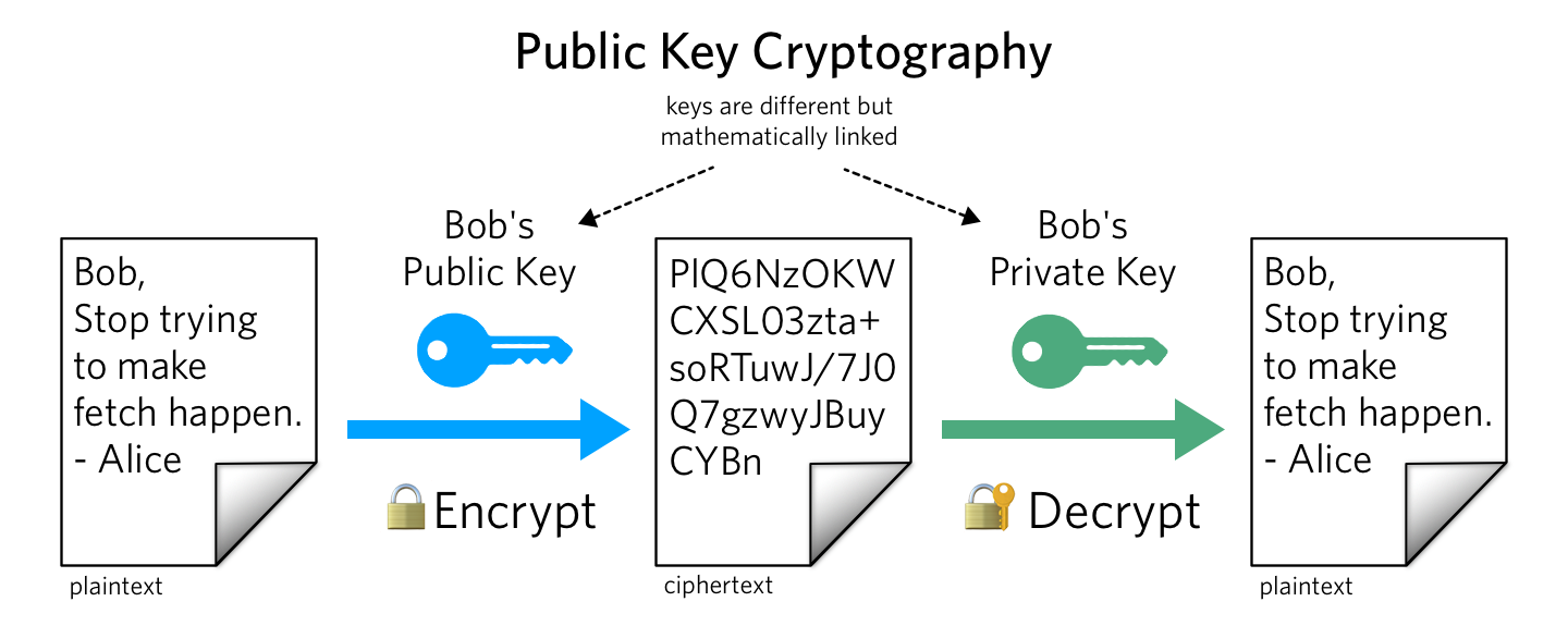 Private vs. Public Keys in Crypto and Why it Matters