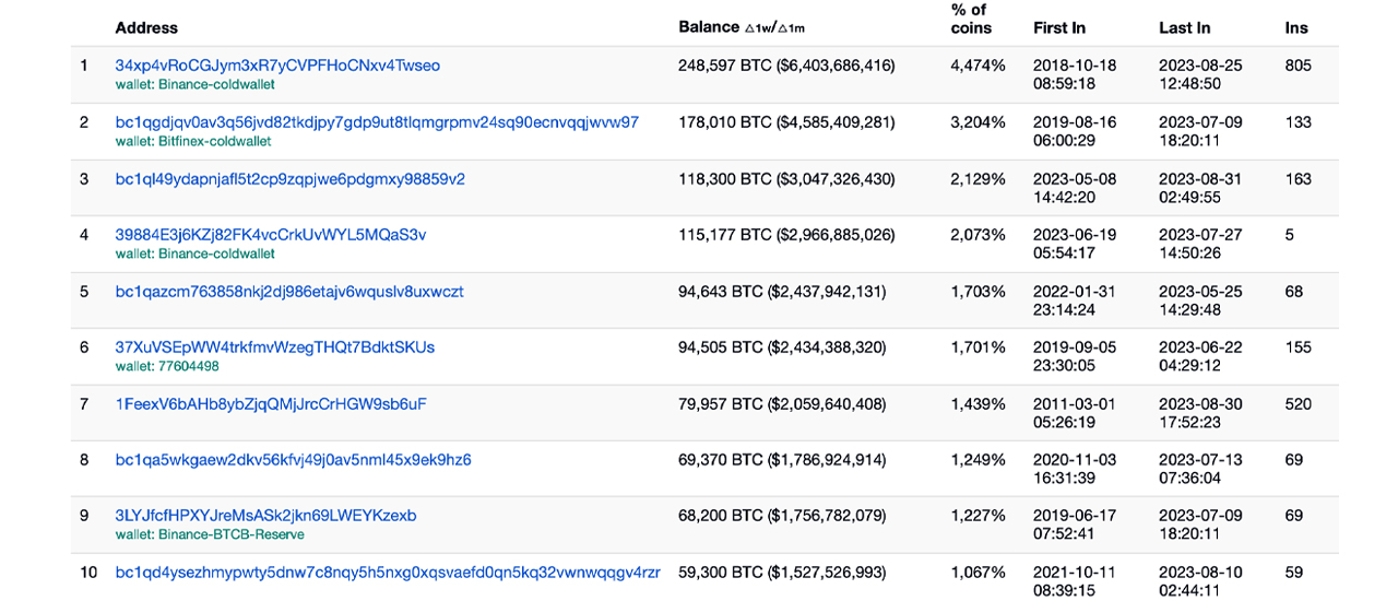 What Is The Richest Bitcoin Wallet? Discover The Mystery