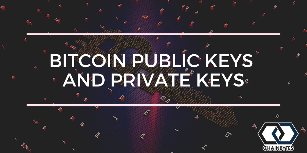 Keys and Bitcoin Addresses: Generating a Public Key | Saylor Academy