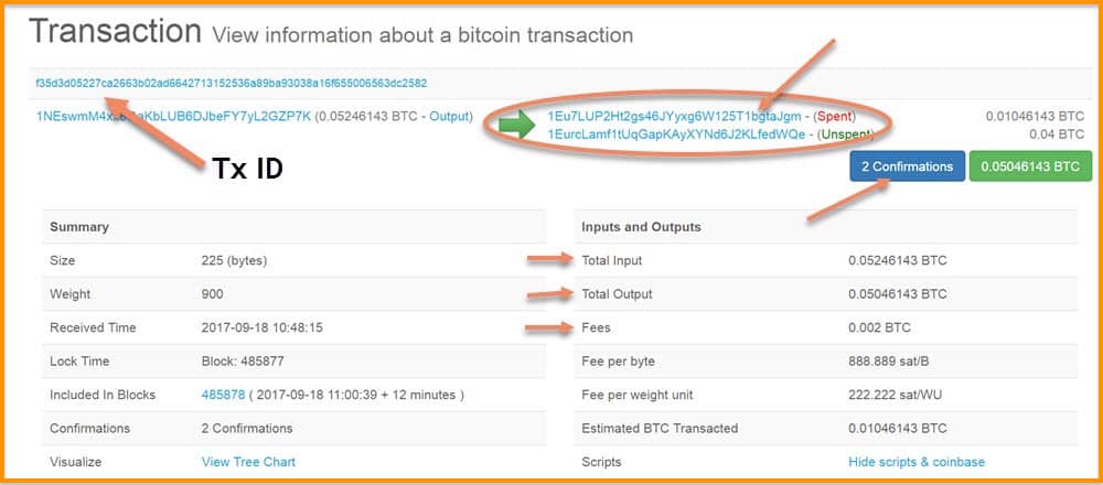 Bitcoin Address | Wallet Lookup - Blockonomics