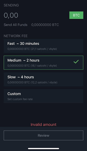 Bitcoin Long Term Sustainability Calculator, Fees and Mining