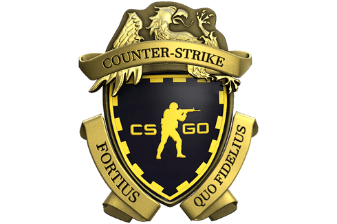 Buy CSGO Accounts | Buy CSGO Prime Account & CSGO Smurf Accounts