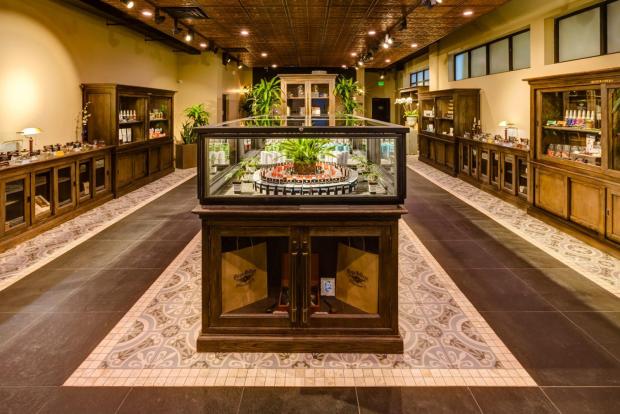 #1 Denver, Colorado Cannabis Dispensary: The Health Center