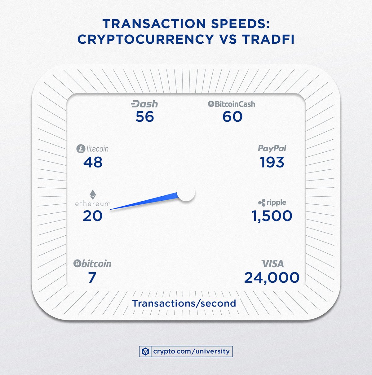 Fastest Blockchains: Ranking Speed and Efficiency in 