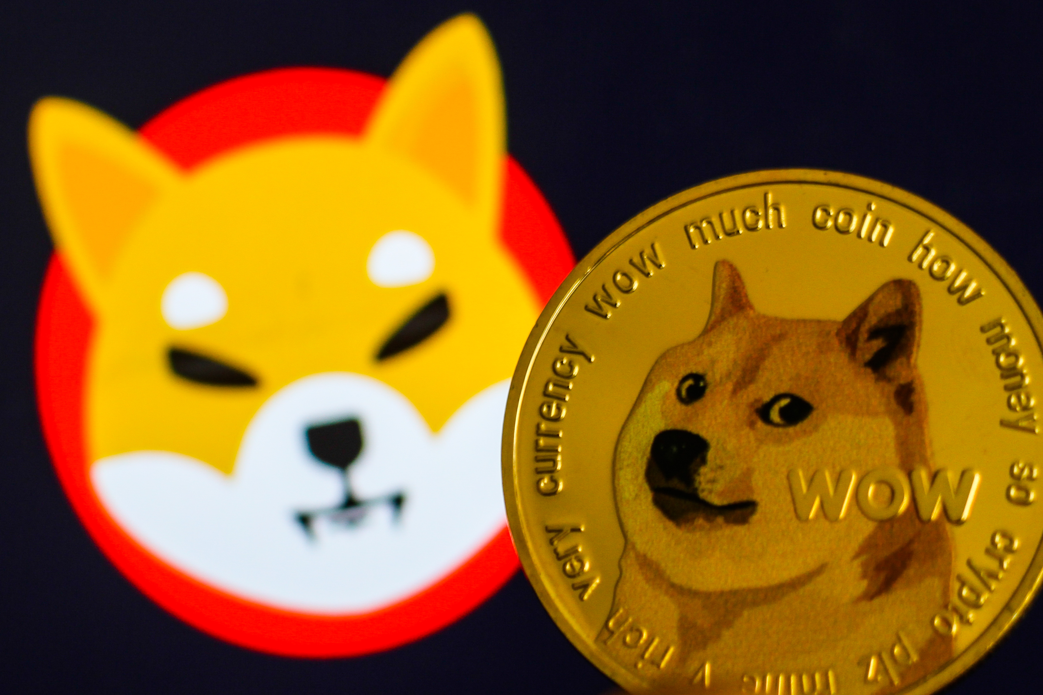 Investing In Dogecoin (DOGE) – Everything You Need to Know - helpbitcoin.fun