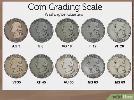 Understanding Coin Grading Basics