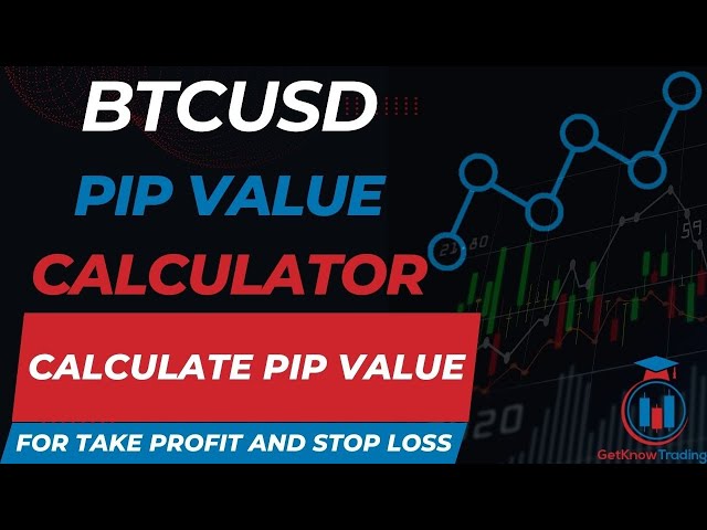 Pip Value Calculator | Baxia Markets