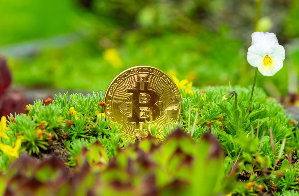 Bitcoin climate impact greater than gold mining, study shows | Bitcoin | The Guardian