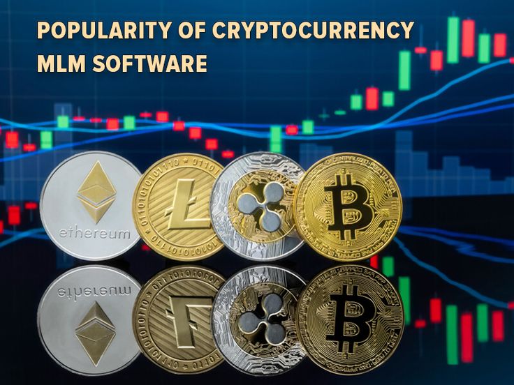 Top 5 Crypto MLM Development Companies Chennai, Tamil Nadu