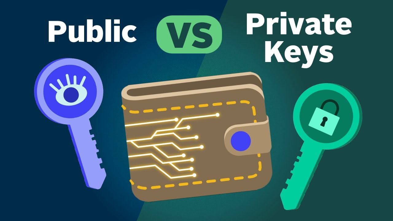 5 Best Cryptocurrency Wallets with User-Owned Private Keys | CoinCodex