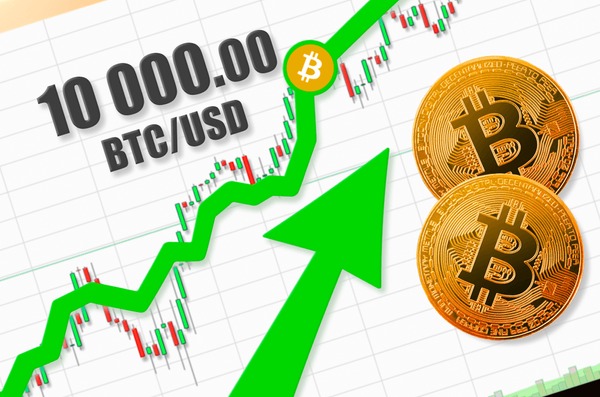 How much Bitcoin (btc) in JPY? Convert cryptocurrency rates | CoinUtil