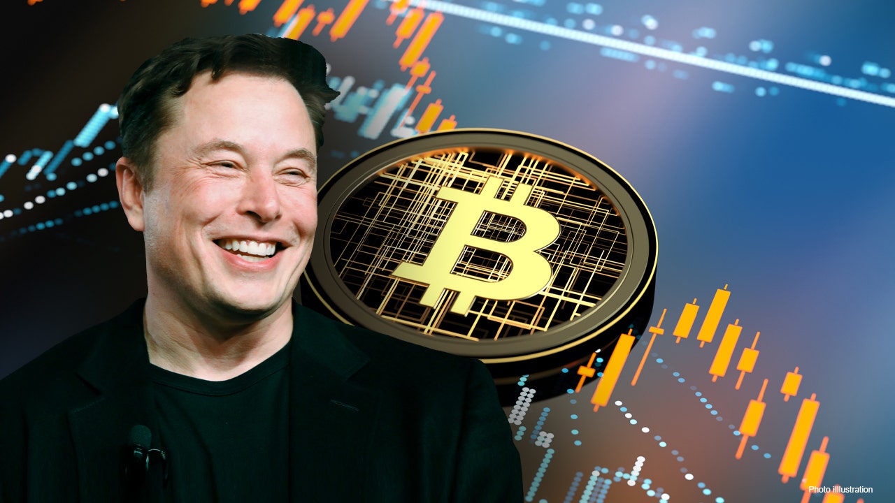 Elon Musk price today, MUSK to USD live price, marketcap and chart | CoinMarketCap