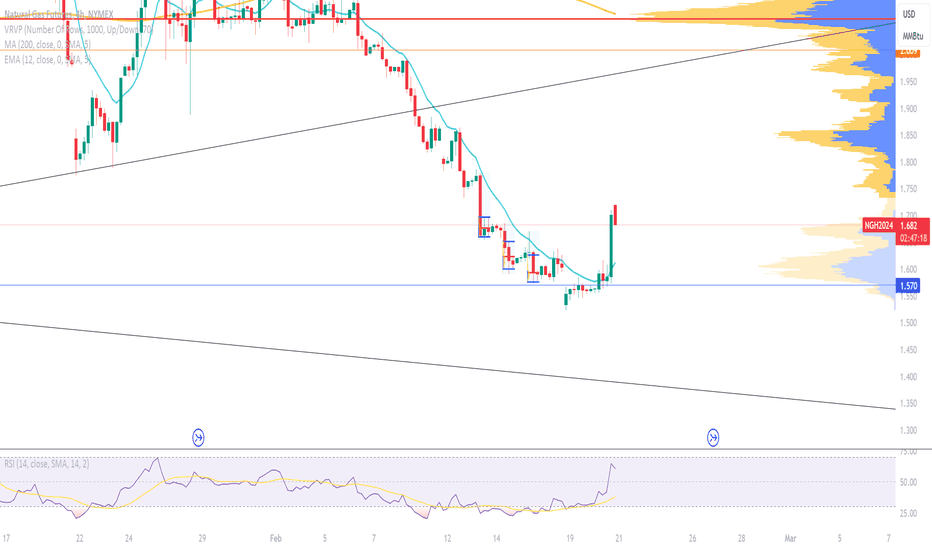 Dutch TTF Natural Gas Last Day Financial Futures (USD/MMBTU)