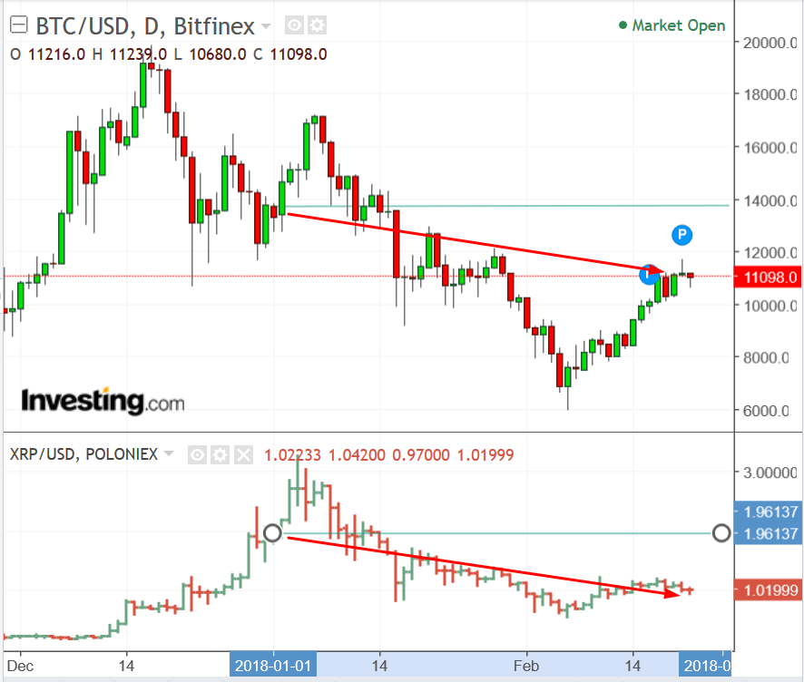 Best Cryptocurrencies For March – Forbes Advisor Canada