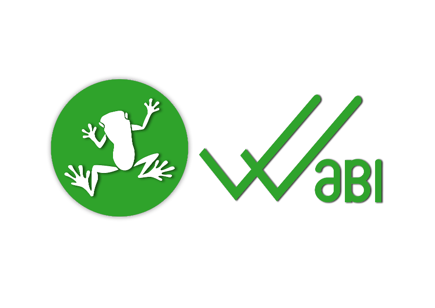 Wabi Price (WABI), Market Cap, Price Today & Chart History - Blockworks