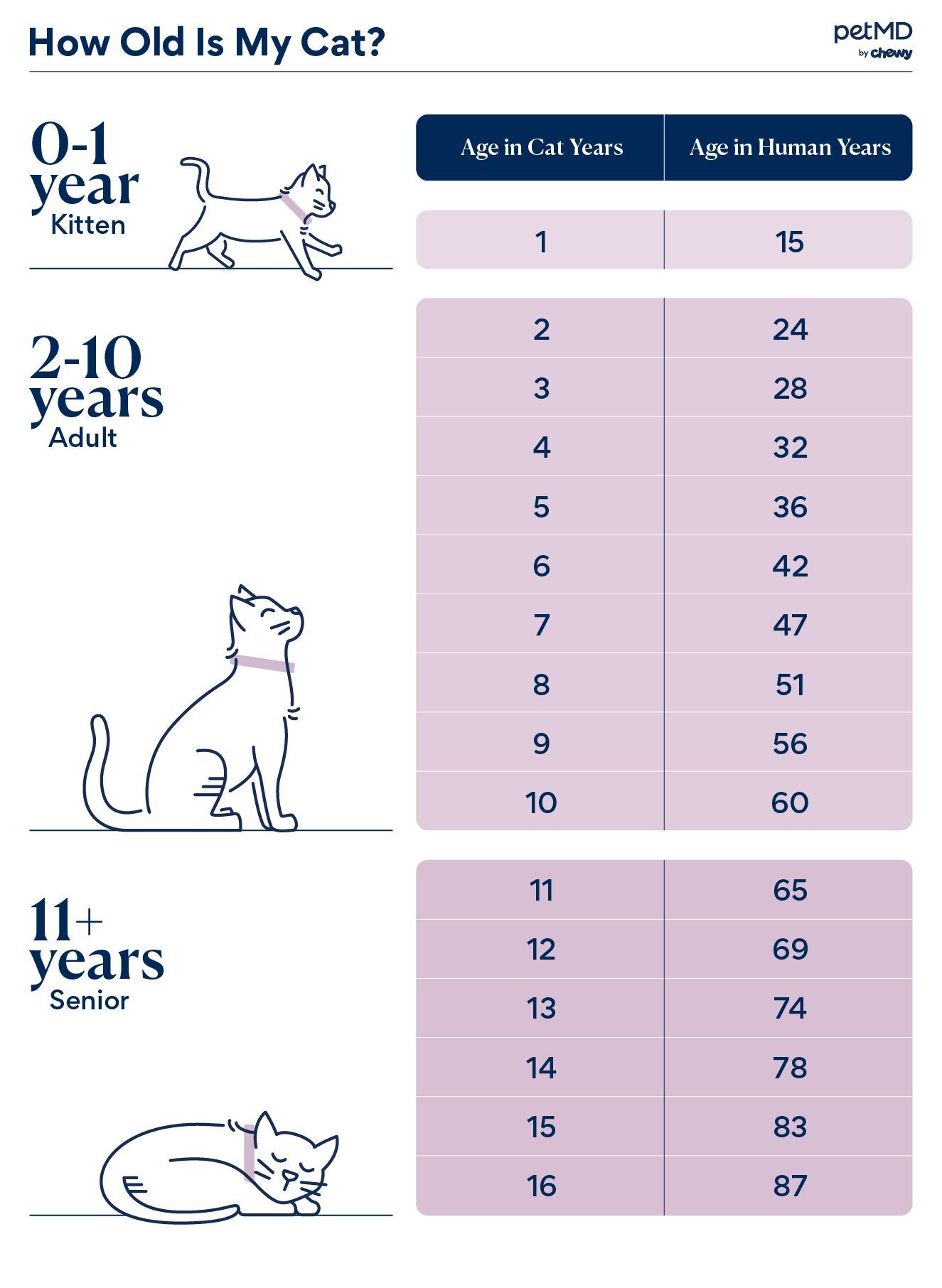 Cat Age Chart: Cat Years to Human Years | How Old Is My Cat? | The Old Farmer's Almanac