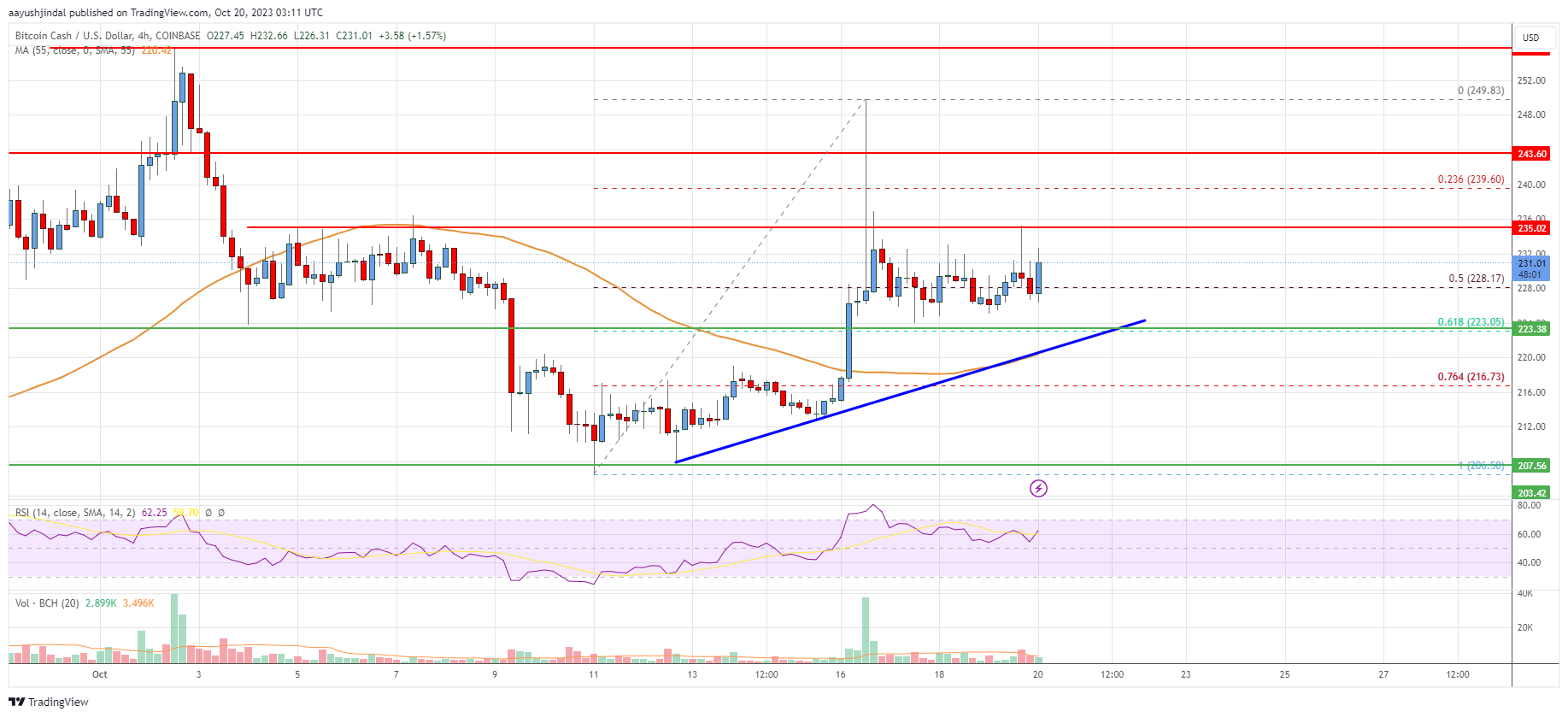 Bitcoin Cash (BCH) Price Prediction - 