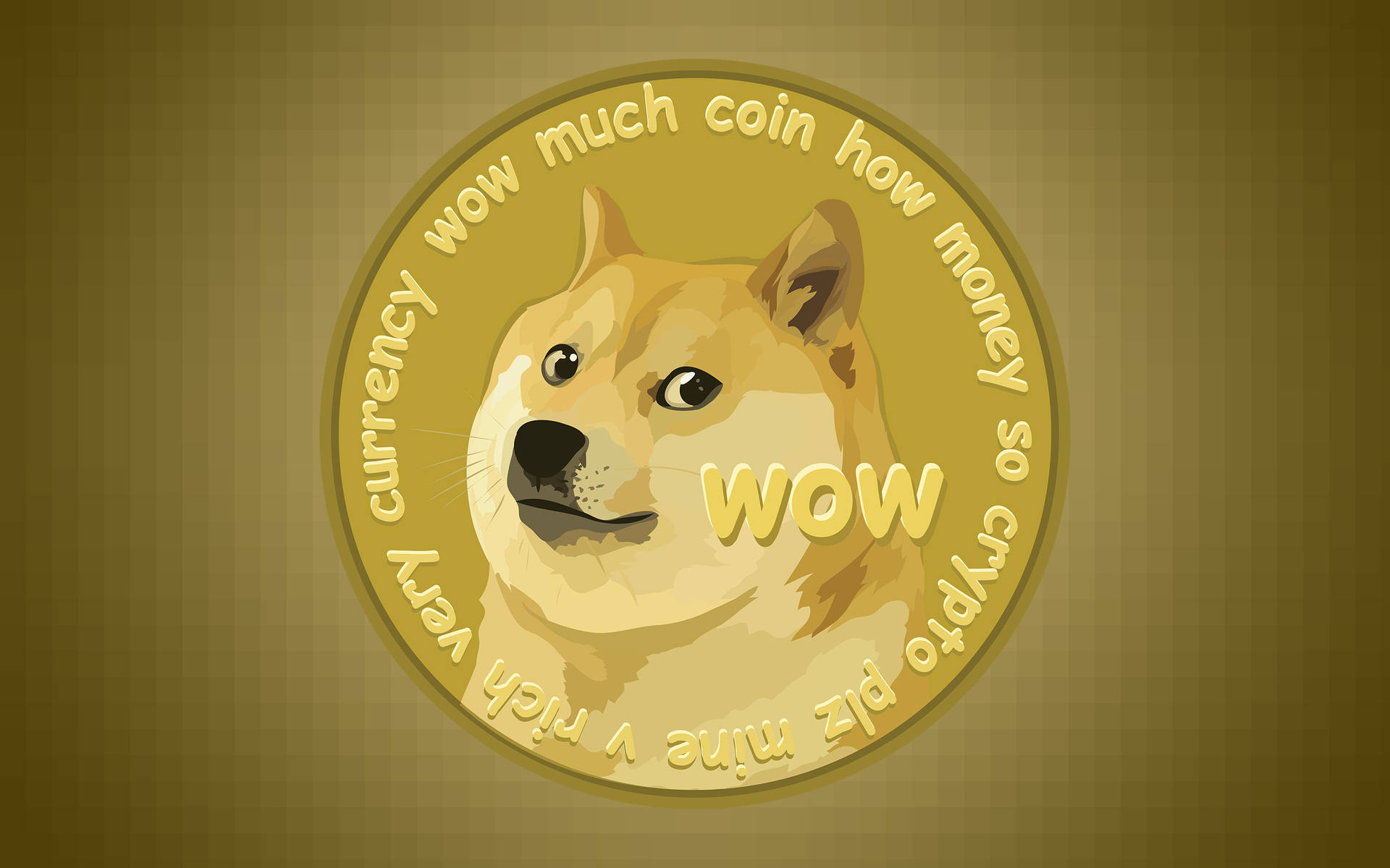 Elon Musk Halts Dogecoin (DOGE) Price Surge by Saying His AI Business Is 'Not Raising Money'