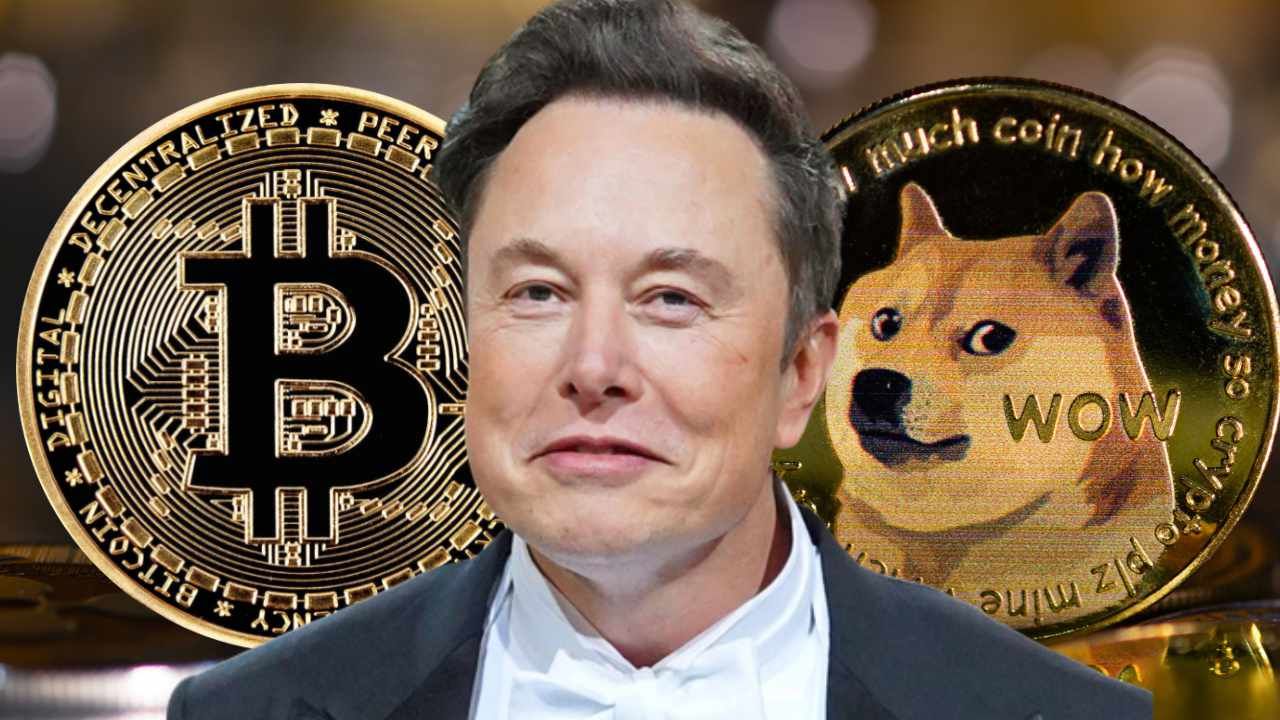 Elon Musk accused of insider trading in Dogecoin lawsuit | Elon Musk | The Guardian