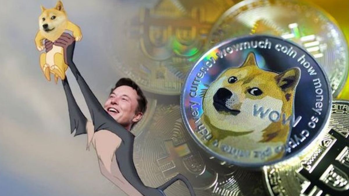 Crypto Chaos: Dogecoin Investors Point Fingers At Elon Musk In Insider Trading Saga