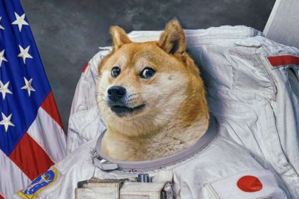 Dogecoin Hits $