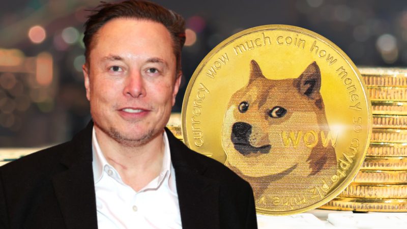 The Elon Musk-Dogecoin Connection; What This Means for Crypto Users