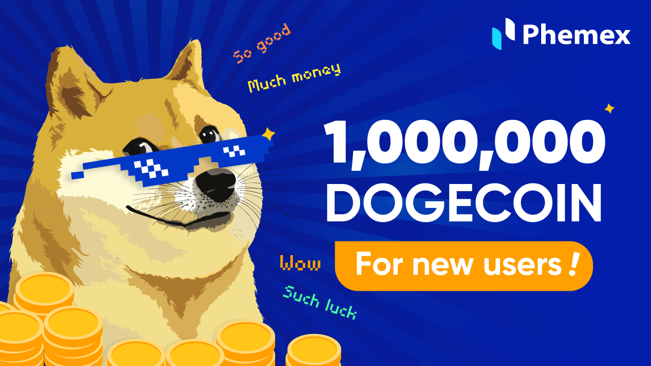 Bitsgap's DOGE/USD Converter: Turn Dogecoin into US Dollar | Bitsgap