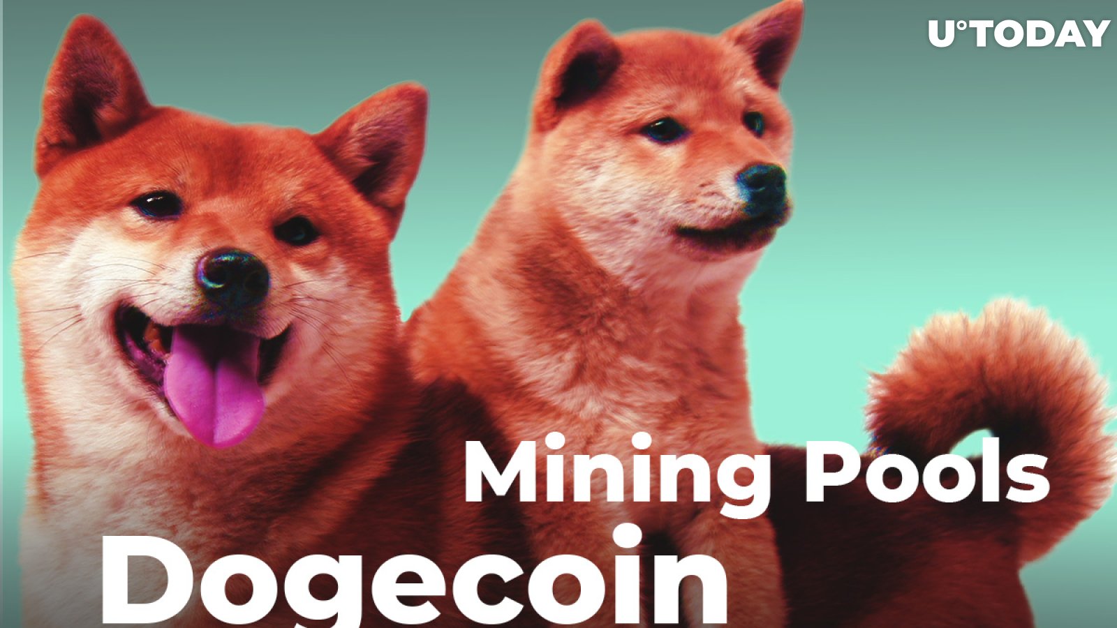 How to mine Dogecoin?