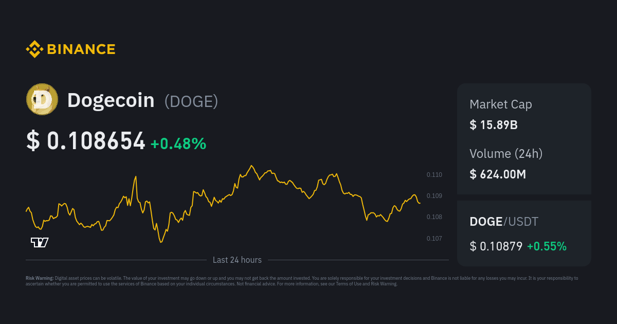 DOGEUSD | Dogecoin USD Overview | MarketWatch