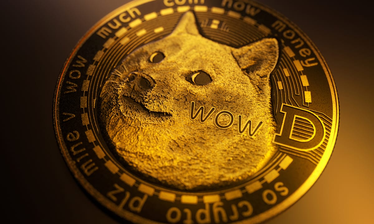 Elon Musk Names Dogecoin As One Of Three Cryptos With A Good Future | helpbitcoin.fun