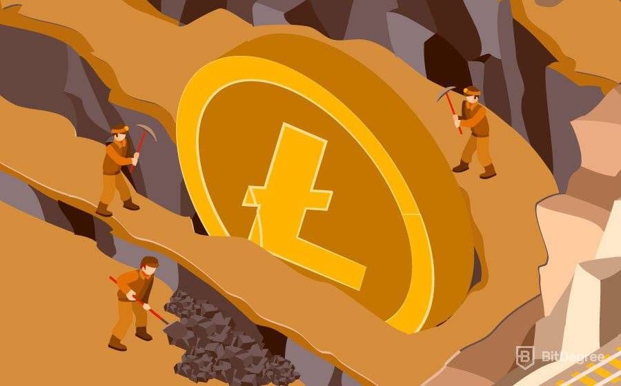 How to Mine Litecoin in - Complete Guide to LTC Mining