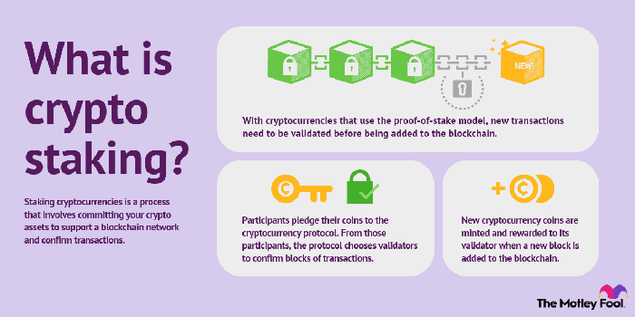 What Is Crypto Staking And How Does It Work? | BITFLEX