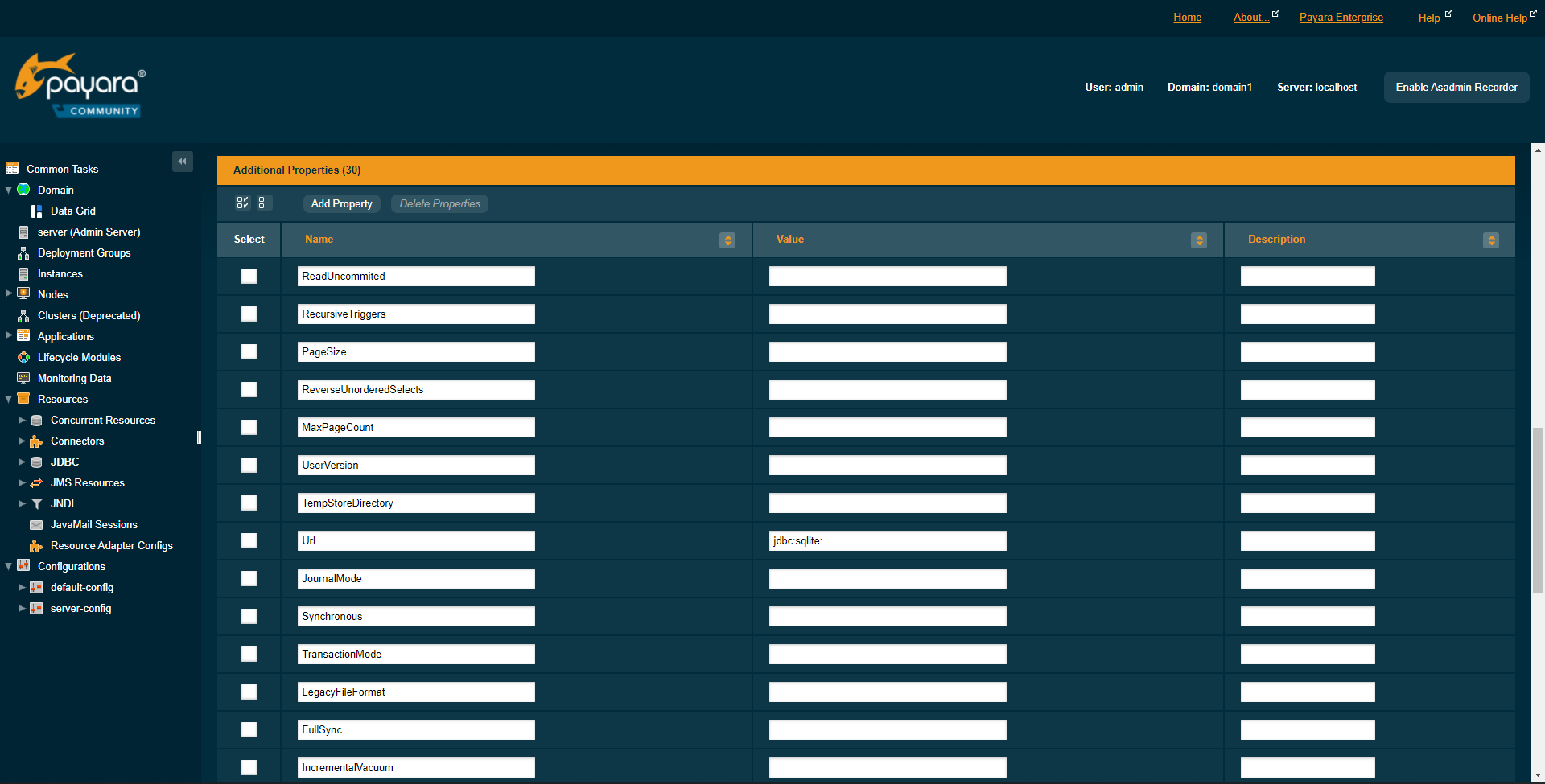 PostgreSQL Driver with Payara Micro